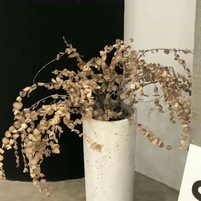 Furry二次元拟人美学兽圈社群